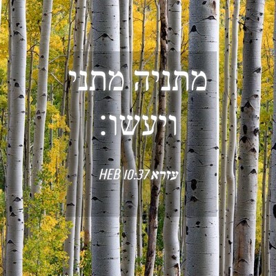 Picture 04 - עזרא 10:37 HEB - מתניה מתני - Bible Verse Picture