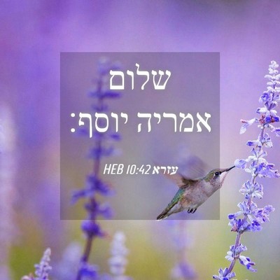 Picture 04 - עזרא 10:42 HEB - שלום אמריה - Bible Verse Picture