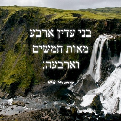 Picture 04 - עזרא 2:15 HEB - בני עדין ארבע מאות חמשים - Bible Verse Picture