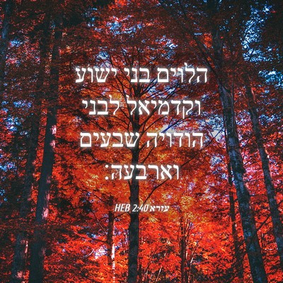 Picture 04 - עזרא 2:40 HEB - הלוים בני ישוע וקדמיאל - Bible Verse Picture