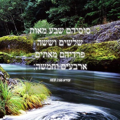 Picture 04 - עזרא 2:66 HEB - סוסיהם שבע מאות שלשים וששה - Bible Verse Picture