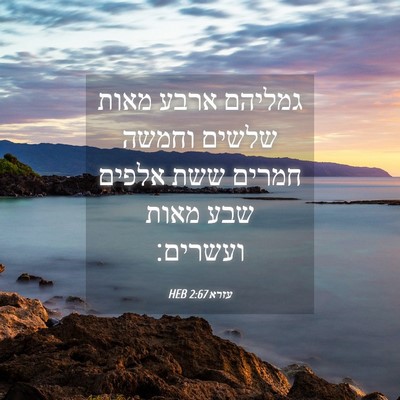 Picture 04 - עזרא 2:67 HEB - גמליהם ארבע מאות שלשים - Bible Verse Picture