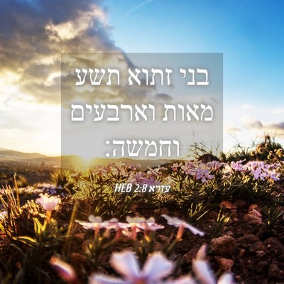 Picture 04 - עזרא 2:8 HEB - בני זתוא תשע מאות וארבעים - Bible Verse Picture