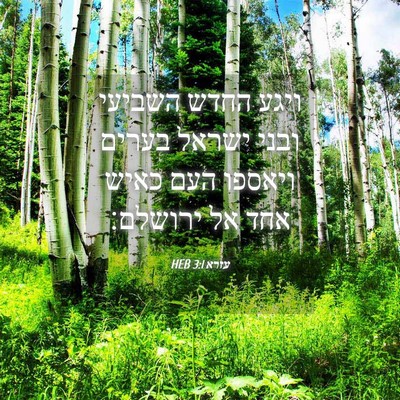 Picture 04 - עזרא 3:1 HEB - ויגע החדש השביעי ובני - Bible Verse Picture