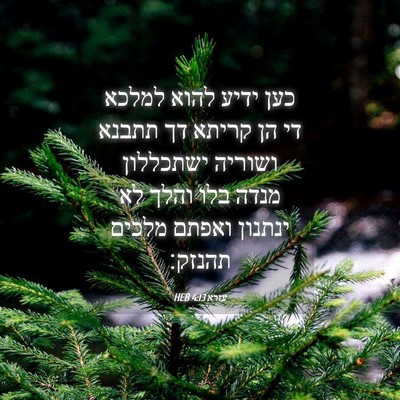 Picture 04 - עזרא 4:13 HEB - כען ידיע להוא למלכא די הן - Bible Verse Picture