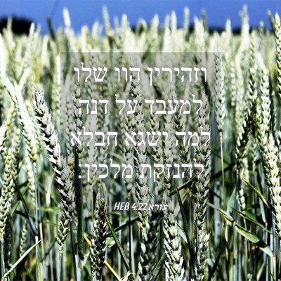 Picture 04 - עזרא 4:22 HEB - וזהירין הוו שלו למעבד על - Bible Verse Picture