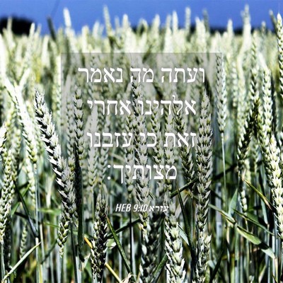 Picture 04 - עזרא 9:10 HEB - ועתה מה נאמר אלהינו אחרי - Bible Verse Picture