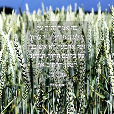 Picture 04 - עמוס 1:13 HEB - כה אמר יהוה על שלשה פשעי - Bible Verse Picture