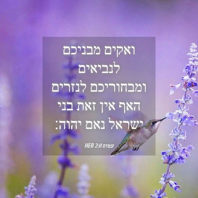 Picture 04 - עמוס 2:11 HEB - ואקים מבניכם לנביאים - Bible Verse Picture