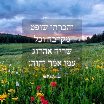 Picture 04 - עמוס 2:3 HEB - והכרתי שופט מקרבה וכל שריה - Bible Verse Picture