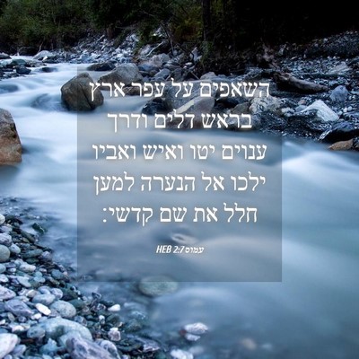 Picture 04 - עמוס 2:7 HEB - השאפים על עפר ארץ בראש דלים - Bible Verse Picture