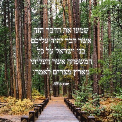 Picture 04 - עמוס 3:1 HEB - שמעו את הדבר הזה אשר דבר - Bible Verse Picture