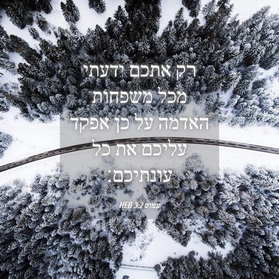 Picture 04 - עמוס 3:2 HEB - רק אתכם ידעתי מכל משפחות - Bible Verse Picture