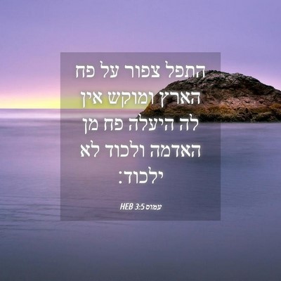 Picture 04 - עמוס 3:5 HEB - התפל צפור על פח הארץ ומוקש - Bible Verse Picture