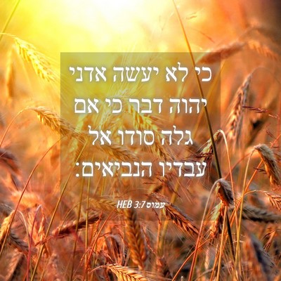 Picture 04 - עמוס 3:7 HEB - כי לא יעשה אדני יהוה דבר כי - Bible Verse Picture