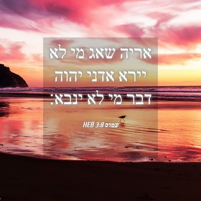 Picture 04 - עמוס 3:8 HEB - אריה שאג מי לא יירא אדני - Bible Verse Picture