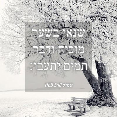 Picture 04 - עמוס 5:10 HEB - שנאו בשער מוכיח ודבר תמים - Bible Verse Picture