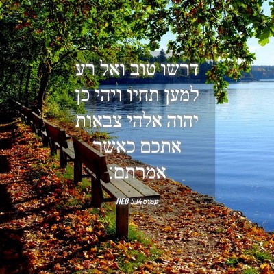 Picture 04 - עמוס 5:14 HEB - דרשו טוב ואל רע למען תחיו - Bible Verse Picture
