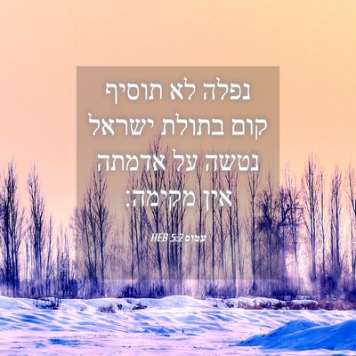 Picture 04 - עמוס 5:2 HEB - נפלה לא תוסיף קום בתולת - Bible Verse Picture