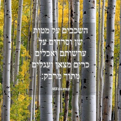 Picture 04 - עמוס 6:4 HEB - השכבים על מטות שן וסרחים על - Bible Verse Picture