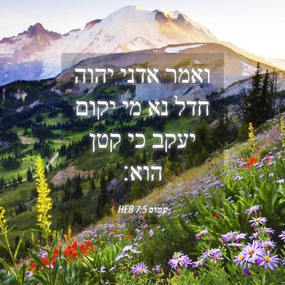 Picture 04 - עמוס 7:5 HEB - ואמר אדני יהוה חדל נא מי - Bible Verse Picture