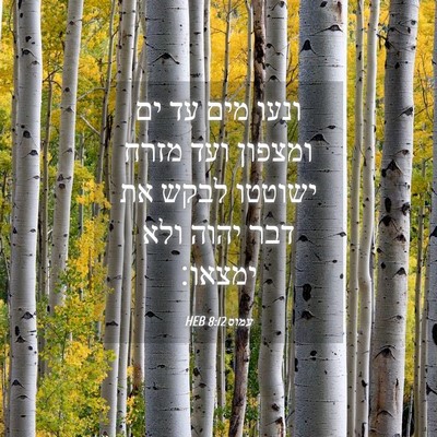 Picture 04 - עמוס 8:12 HEB - ונעו מים עד ים ומצפון ועד - Bible Verse Picture