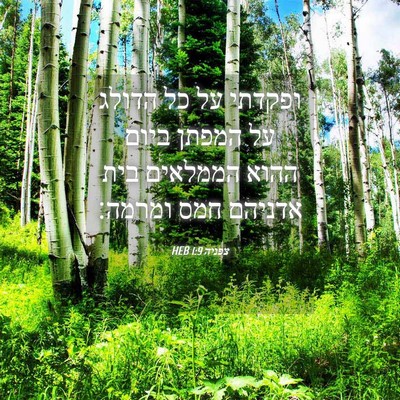 Picture 04 - צפניה 1:9 HEB - ופקדתי על כל הדולג על המפתן - Bible Verse Picture