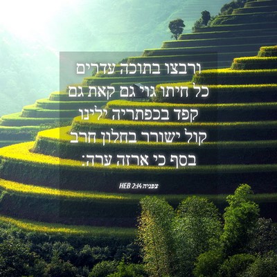 Picture 04 - צפניה 2:14 HEB - ורבצו בתוכה עדרים כל חיתו - Bible Verse Picture