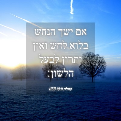 Picture 04 - קהלת 10:11 HEB - אם ישך הנחש בלוא לחש ואין - Bible Verse Picture