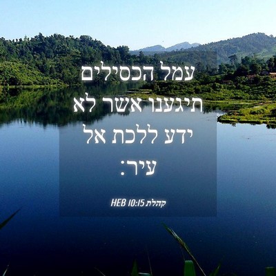 Picture 04 - קהלת 10:15 HEB - עמל הכסילים תיגענו אשר לא - Bible Verse Picture