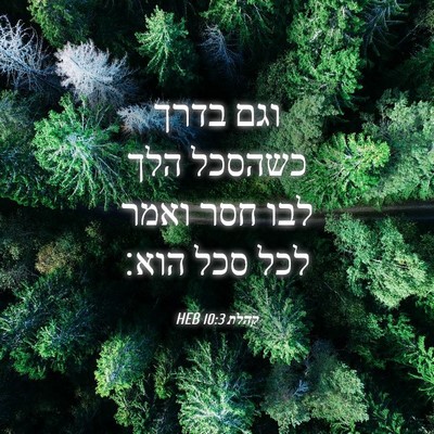 Picture 04 - קהלת 10:3 HEB - וגם בדרך כשהסכל הלך לבו חסר - Bible Verse Picture