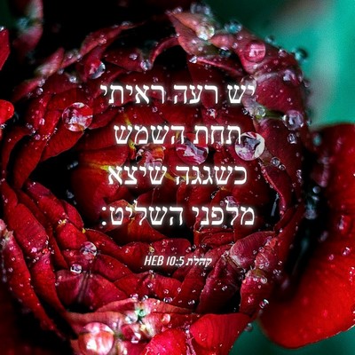 Picture 04 - קהלת 10:5 HEB - יש רעה ראיתי תחת השמש כשגגה - Bible Verse Picture