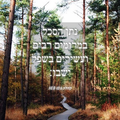 Picture 04 - קהלת 10:6 HEB - נתן הסכל במרומים רבים - Bible Verse Picture