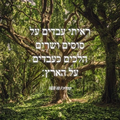 Picture 04 - קהלת 10:7 HEB - ראיתי עבדים על סוסים ושרים - Bible Verse Picture