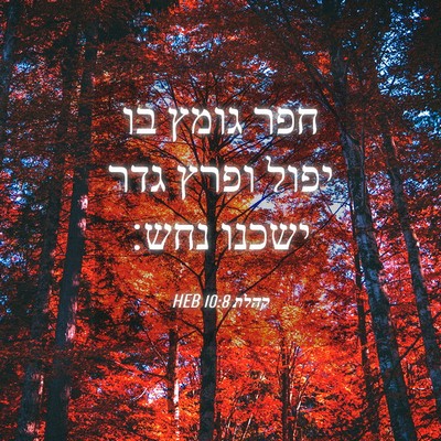 Picture 04 - קהלת 10:8 HEB - חפר גומץ בו יפול ופרץ גדר - Bible Verse Picture