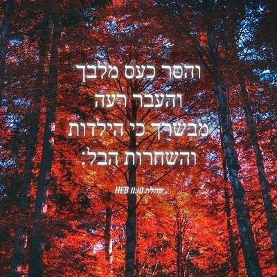 Picture 04 - קהלת 11:10 HEB - והסר כעס מלבך והעבר רעה - Bible Verse Picture