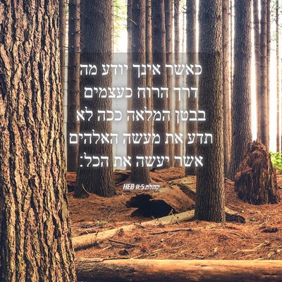 Picture 04 - קהלת 11:5 HEB - כאשר אינך יודע מה דרך הרוח - Bible Verse Picture