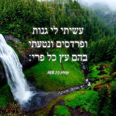 Picture 04 - קהלת 2:5 HEB - עשיתי לי גנות ופרדסים - Bible Verse Picture
