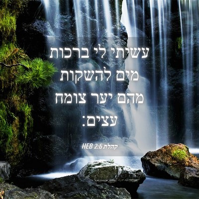 Picture 04 - קהלת 2:6 HEB - עשיתי לי ברכות מים להשקות - Bible Verse Picture