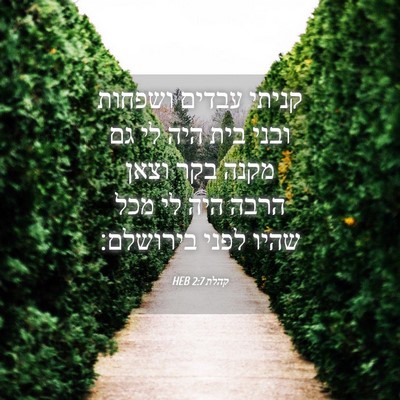 Picture 04 - קהלת 2:7 HEB - קניתי עבדים ושפחות ובני - Bible Verse Picture