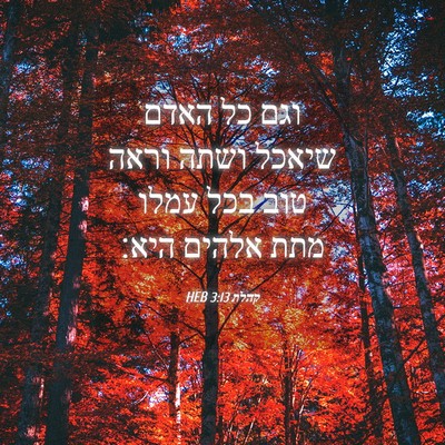 Picture 04 - קהלת 3:13 HEB - וגם כל האדם שיאכל ושתה וראה - Bible Verse Picture