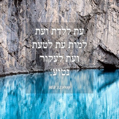 Picture 04 - קהלת 3:2 HEB - עת ללדת ועת למות עת לטעת - Bible Verse Picture