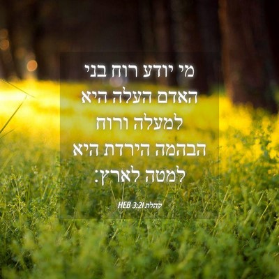 Picture 04 - קהלת 3:21 HEB - מי יודע רוח בני האדם העלה - Bible Verse Picture