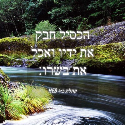 Picture 04 - קהלת 4:5 HEB - הכסיל חבק את ידיו ואכל את - Bible Verse Picture