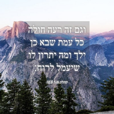 Picture 04 - קהלת 5:16 HEB - וגם זה רעה חולה כל עמת שבא - Bible Verse Picture