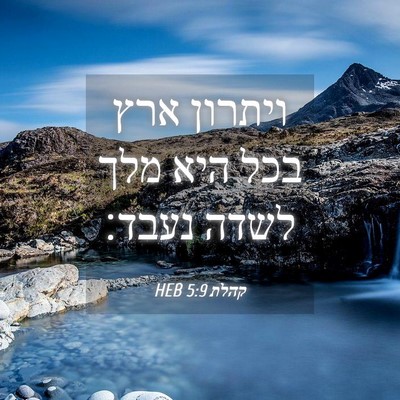 Picture 04 - קהלת 5:9 HEB - ויתרון ארץ בכל היא מלך לשדה - Bible Verse Picture