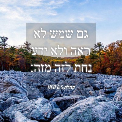Picture 04 - קהלת 6:5 HEB - גם שמש לא ראה ולא ידע נחת - Bible Verse Picture
