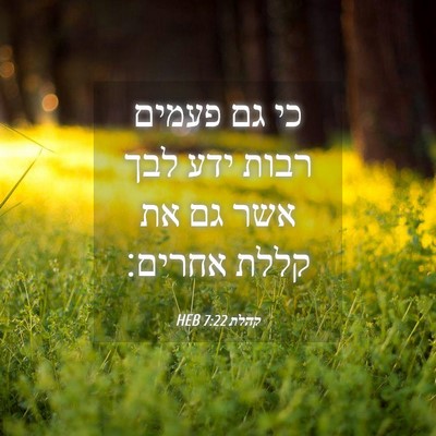 Picture 04 - קהלת 7:22 HEB - כי גם פעמים רבות ידע לבך - Bible Verse Picture