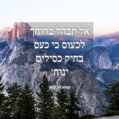 Picture 04 - קהלת 7:9 HEB - אל תבהל ברוחך לכעוס כי כעס - Bible Verse Picture