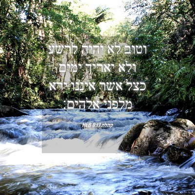 Picture 04 - קהלת 8:13 HEB - וטוב לא יהיה לרשע ולא יאריך - Bible Verse Picture